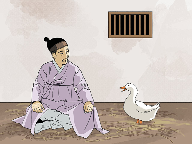 거위와 감옥에 갇힌 윤회