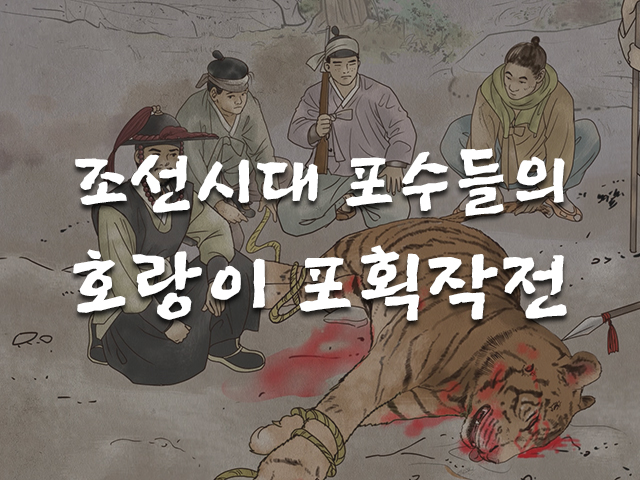 조선시대 포수들의 호랑이 포획작전