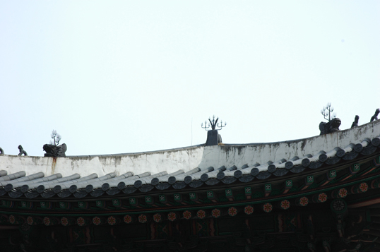 창덕궁 돈화문 좌측에서 본 용마루