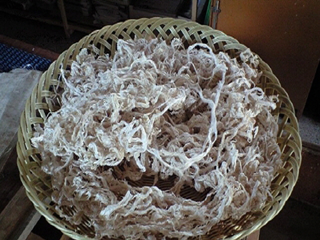 백닥