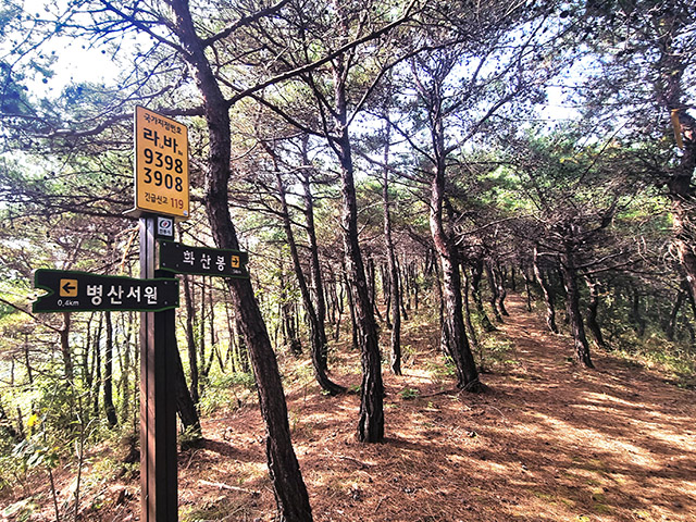 화산(화산봉) 오르는 길