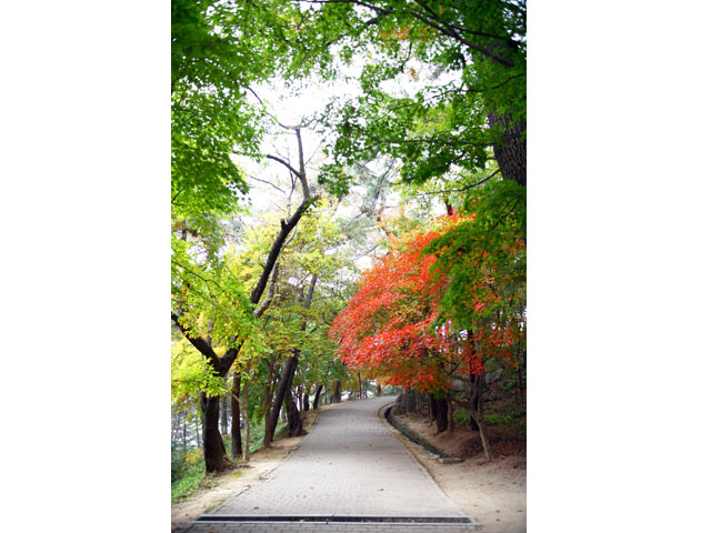 낙화암 가는 길