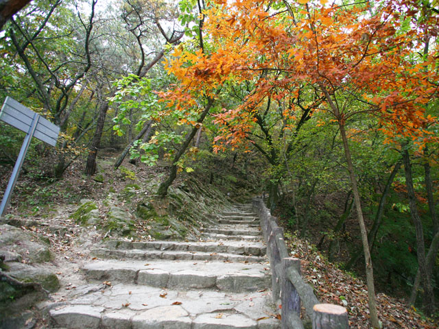 고란사 가는 길