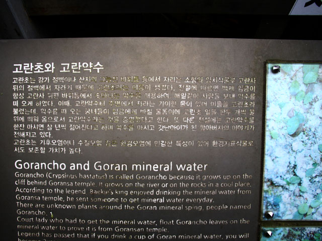 고란사 고란약수 안내판