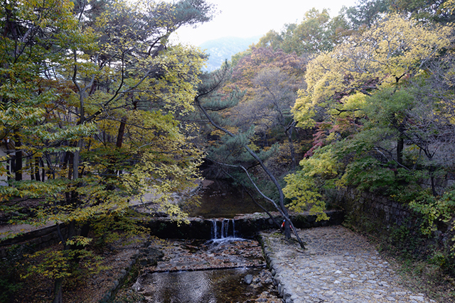 채미정 주변 경관